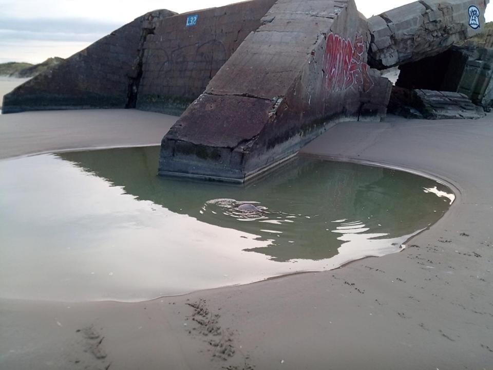 Joe Cocker Apartment Dunkirk Exterior photo